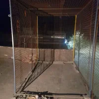 طوری کفتر|لوازم جانبی حیوانات|کنگاور, |دیوار