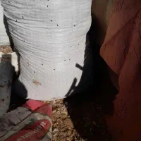 کود گوسفندی خالص خشک شده کیسه زده|لوازم جانبی حیوانات|بهنمیر, |دیوار