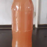 آبغوره امسال و برگه زردآلو خانگی بهداشتی