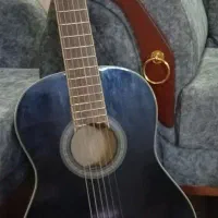 گیتار سالم به همراه کیف