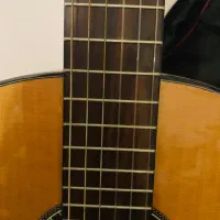 گیتار در حد نو|گیتار، بیس، امپلیفایر|فومن, |دیوار