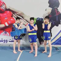 آموزش ووشوساندا|خدمات آموزشی|اهواز, امانیه|دیوار