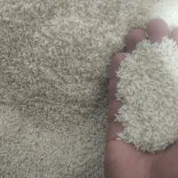 برنج ایرانی شیروان چرداول|خوردنی و آشامیدنی|بیستون, |دیوار