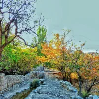 زمین گلخانه