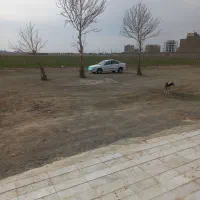 سمند ef7مدل ۹۱|خودرو سواری و وانت|باغستان, |دیوار