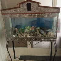 اکواریوم