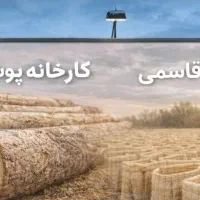 پوشال کولر یزد