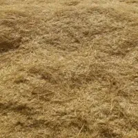 کاه گندم نرم گوسفندی وگاوی بدون خاک
