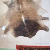 فرشینه پوست گاو