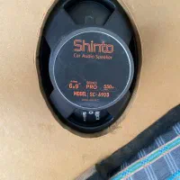 باندو اگزوز و سر اگزوزی