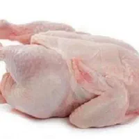 قطعه بندی مرغ