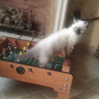 دسته بازی|کنسول، بازی ویدئویی و آنلاین|مشهد, سمزقند|دیوار