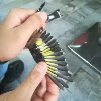 سهره|پرنده|ورامین, ورامین|دیوار