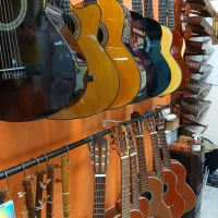 کلیه لوازم موسیقی|سازهای سنتی|تهران, فرحزاد|دیوار