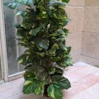 درخت مصنوعی تزیینی