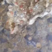 فروش  یک قطعه سنگ عقیق تراش نخورده  زیبا|کلکسیون اشیاء عتیقه|واجارگاه, |دیوار