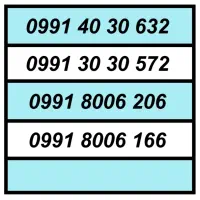 0919.3777067