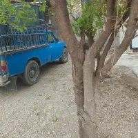 توافقی|خودرو سواری و وانت|شوشتر, |دیوار