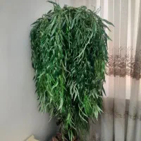 درختچه مصنوعی