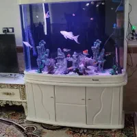 آکواریوم با ماهی تمام لوازم هاومتلغات داخل به فروش