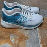 کتانی نو|کیف، کفش، کمربند|رشت, نظری|دیوار