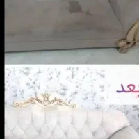 مبل شویی امیر محمد مبلشویی با مواد نانو در منزل|خدمات نظافت|تبریز, |دیوار