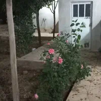 اجاره خانه ویلایی دوخوابه ،خرمدره خیابان مطهری|اجارهٔ خانه و ویلا|خرمدره, |دیوار