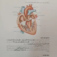 کتاب جزوه کنکور ۱۴۰۵ حنیف عظیمی تاملند رنگی سیاه|کتاب و مجله آموزشی|تهران, فلسطین (میدان انقلاب)|دیوار