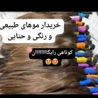 کوتاهی موهای بانوان در سالن نرگس موهای خام رنگی