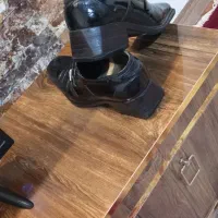 کفش مجلسی