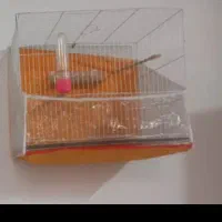 قفس وسایل معاوظه کفتر.|لوازم جانبی حیوانات|تربتحیدریه, شهرک ولیعصر|دیوار