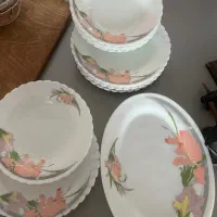 ظروف آرکوپال