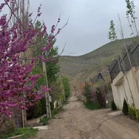 اجاره روزانه/هفتگی/ماهانه ویلا ۶۰۰ متری|اجارهٔ کوتاه‌مدت ویلا و باغ|بومهن, |دیوار