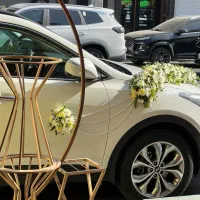 اجرا گل آرایی ماشین عروس در لوکیشن شما|خدمات پذیرایی، مراسم|اسلامشهر, شهرک مفیدی|دیوار