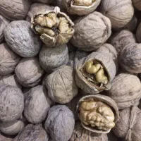 خرید کالا برگ|خوردنی و آشامیدنی|شاهرود, |دیوار