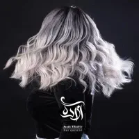 استخدام دستیار حرفه ای رنگ مش|استخدام درمانی، زیبایی، بهداشتی|تهران, تهرانپارس جنوبی|دیوار