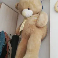 خرس 2متری 2متری خوشکل