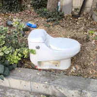 توالت فرنگی