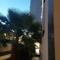 دفتر-کار