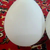 حباب|لوستر و چراغ آویز|کرمانشاه, |دیوار