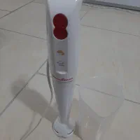 گوشت کوب برقی مولینکس