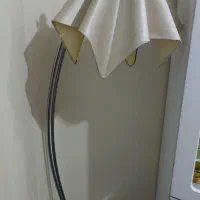 آباژور کاملا سالم