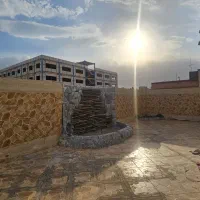 ۲۵۰متر/شمالی/باپروانه/قیمت استثنایی