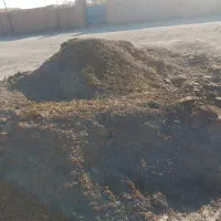 کود|خدمات باغبانی و درختکاری|همدان, |دیوار