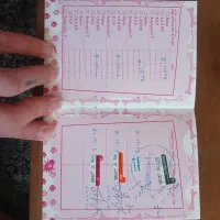 گربه اسکاتیش ماده|گربه|بابلسر, |دیوار