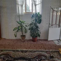 اجاره روزانه/هفتگی/ماهانه آپارتمان ۷۰ متری|اجارهٔ کوتاه‌مدت آپارتمان و سوئیت|آشخانه, |دیوار