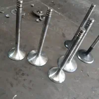 سوپاپ تقویتی پژو شمع کج اروپایی|قطعات یدکی و لوازم جانبی|کرج, حیدرآباد|دیوار