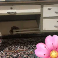 میز تحریر سالم