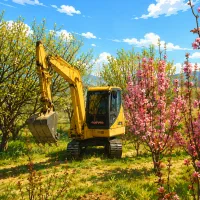 اجاره مینی بیل با پیکور وکمپرسی