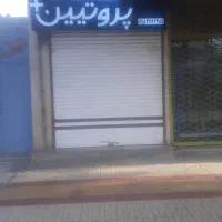 واگذاری-پروتینی